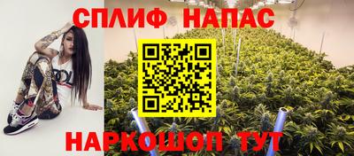 МДПВ Дубна
