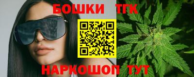 МДПВ Дубна