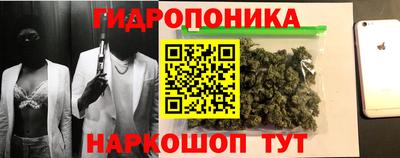 МДПВ Дубна