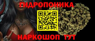 МДПВ Дубна
