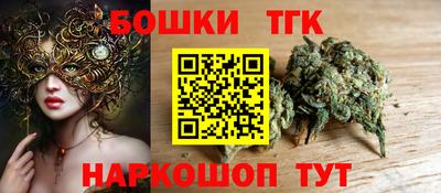 МДПВ Дубна