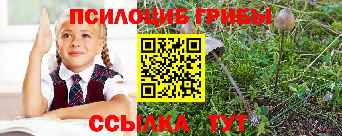 Междуреченск  Псилоцибиновые грибы MAGIC MUSHROOMS  Вход с VPN  Галлюциногенные грибы Psilocybine cubensis 