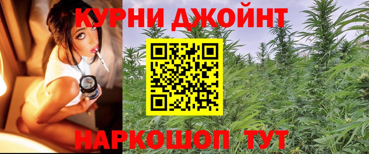 Каннабис конопля Междуреченск